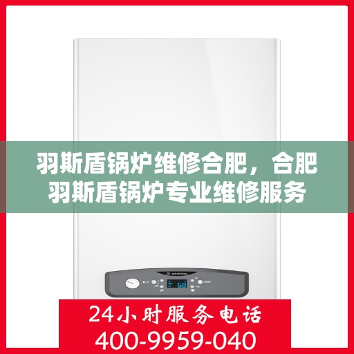 羽斯盾锅炉维修合肥，合肥羽斯盾锅炉专业维修服务