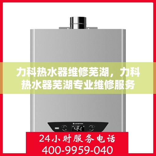 力科热水器维修芜湖，力科热水器芜湖专业维修服务